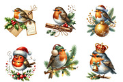 Watercolor Christmas Robin Clipart, an Illustration by SinaCreation (Thumbnail 4 of 7)