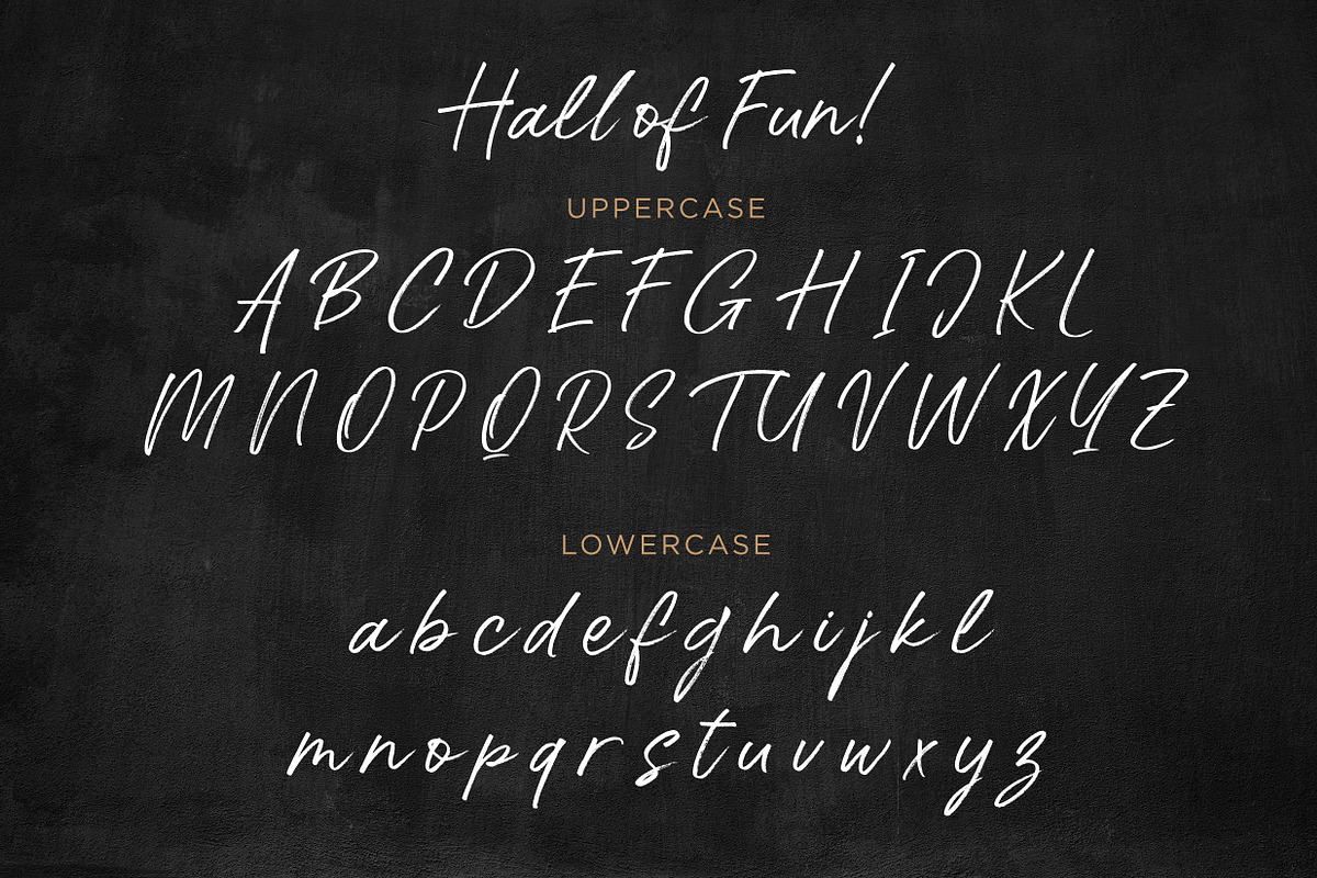 Hall Of Fun - Casual Elegant Font preview 7