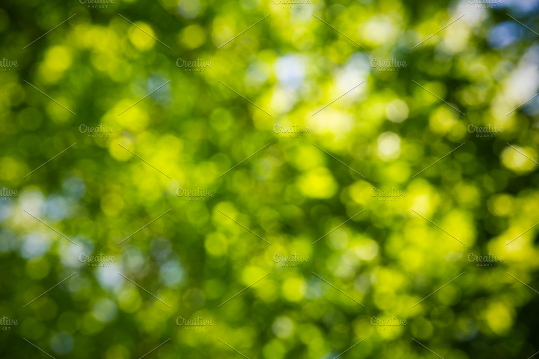 Bokeh Stock Photo