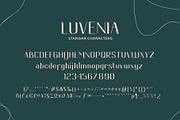 Luvenia sans serif modern, a Sans Serif Font by Missingfont.std (Thumbnail 5 of 12)