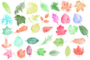 Watercolor Leaf Photoshop Brushes preview 4