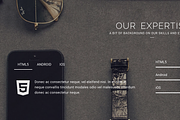 Reign Pro - Corporate Agency, a Bootstrap Template by Theme Wagon (Thumbnail 4 of 13)