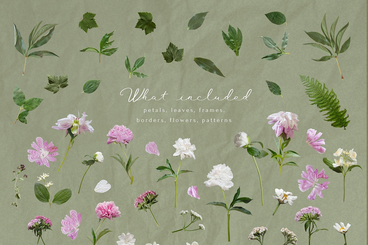 Petals Botanical Overlay Kit & Paper, an Object Graphic by Allure Art (Photo 17 of 22)