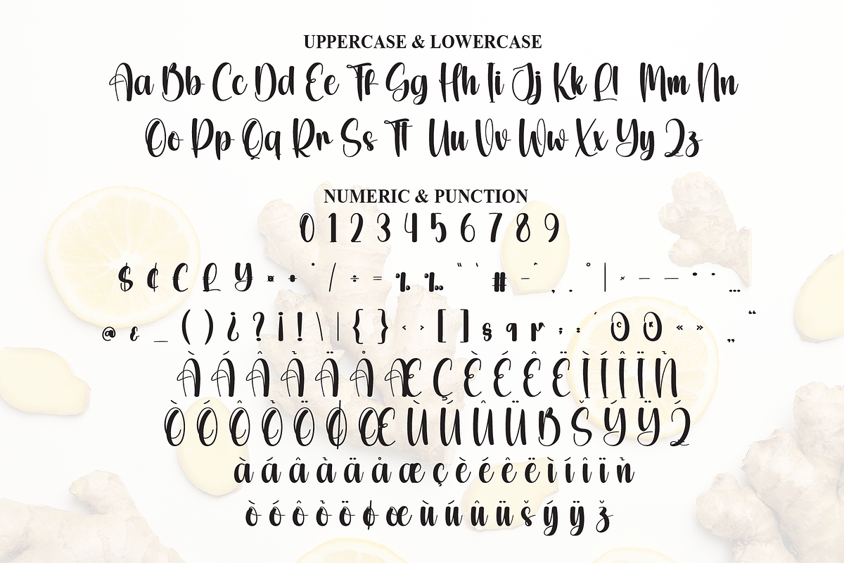 Western Ginger | Script Font, a Handwritten Font by Scratchones (Photo 7 of 9)