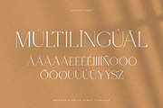 Carlly | Modern Elegant, a Serif Font by Pentagonistudio (Thumbnail 9 of 10)