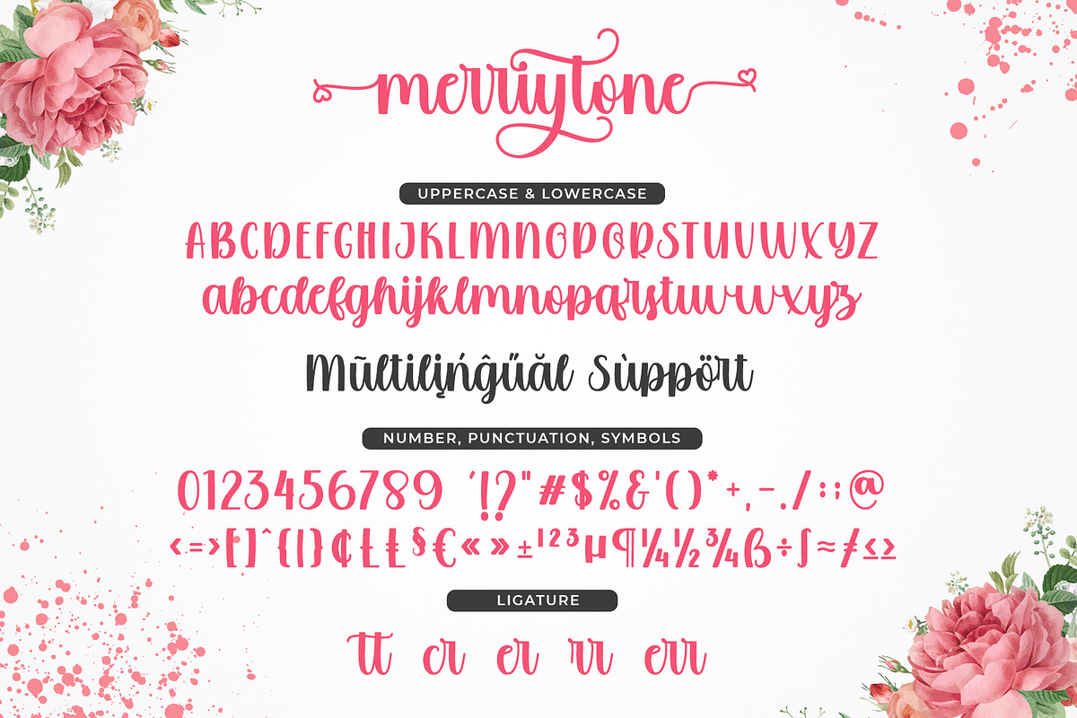 Merrytone | Modern Stylish Font, a Script Font by WDfont (Photo 5 of 7)