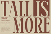 Mavero - Serif Font, a Serif Font by Alpaprana (Thumbnail 4 of 10)