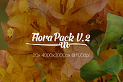 Flora Photo Pack V2 preview 3