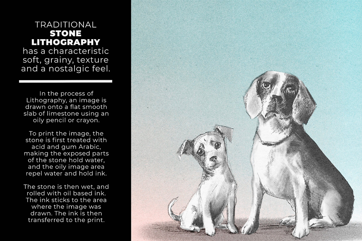 Procreate Print Works Media Pack, a Brush Add-On by UPROOT (Photo 34 of 64)