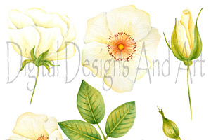 Garden Roses Clipart