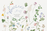 Bramblewood Tales Woodland Clipart, a Decorative Illustration by Muse Artist (Thumbnail 7 of 29)