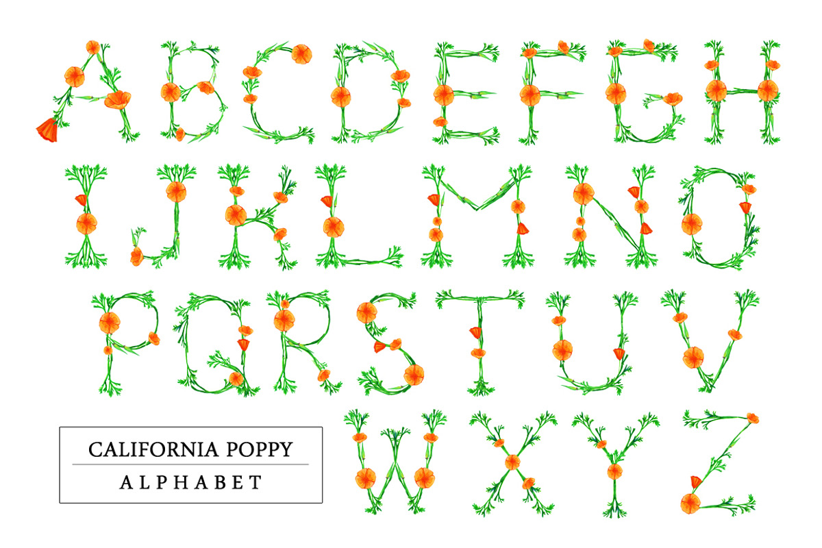 California Poppy Alphabet, an Object Graphic by byherline (Photo 1 of 2)
