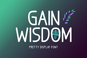 Gain Wisdom Typeface, a Handwritten Font by Seemly Fonts (Thumbnail 1 of 5)