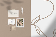 Florium - floral logo font, a Sans Serif Font by Favete Art (Thumbnail 12 of 21)