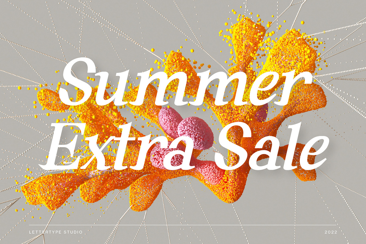 Andaman an Experimental Serif Font, a Serif Font by Lettertype Studio (Photo 14 of 15)