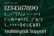 Ventura - Serif Font, a Serif Font by Alpaprana (Thumbnail 9 of 10)