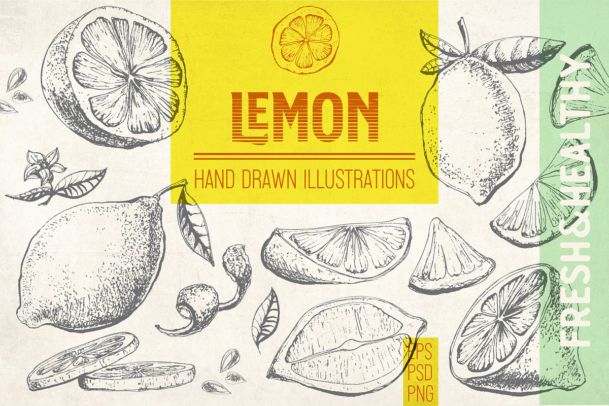 Lemon. Hand drawn ink illustrations, a Food Illustration by Alena Kaz (Photo 1 of 4)