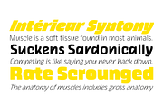 Thicker 44 fonts + 2 variables, a Sans Serif Font by Zetafonts (Thumbnail 4 of 13)