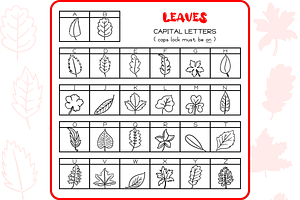 Leaves Doodles - Dingbats Font