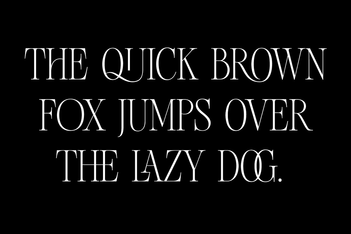 Chakem - Modern Ligature serif Font, a Serif Font by Issam Type (Photo 6 of 12)