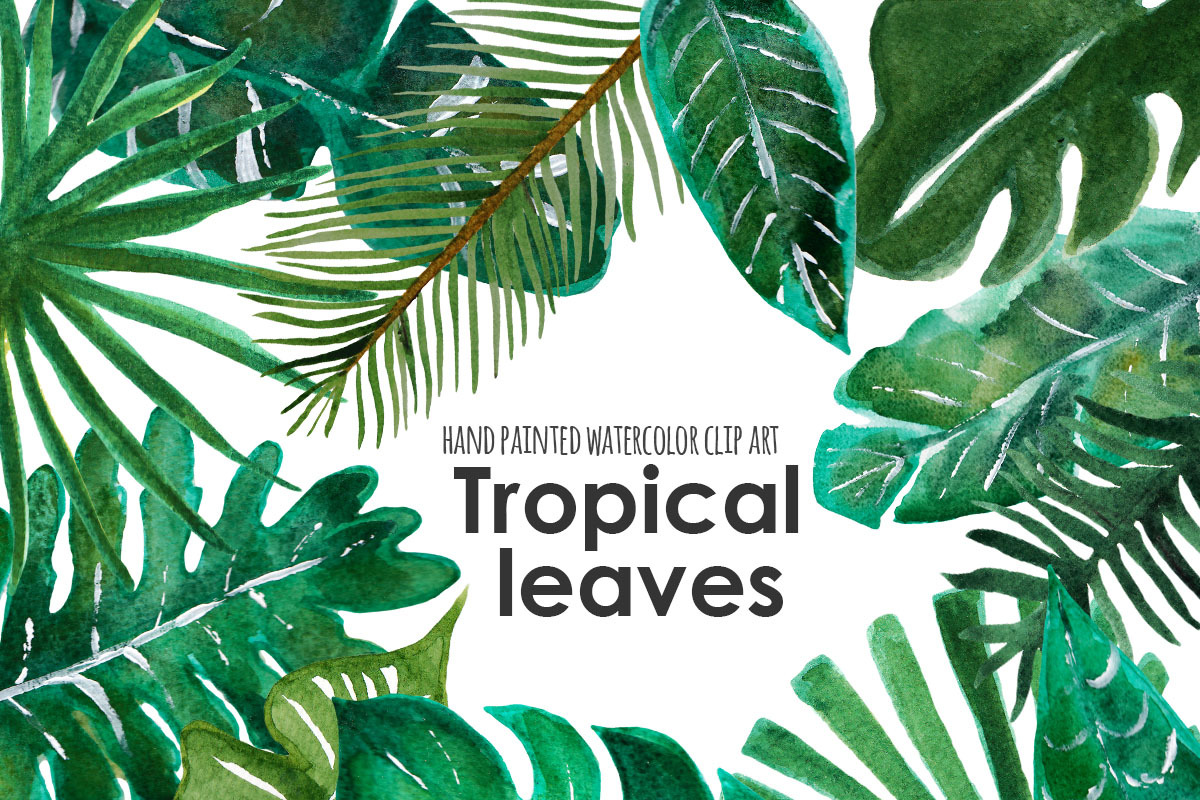 Palm leaf tropical clip art, an Illustration by SandraGraphicDesign (Photo 1 of 5)