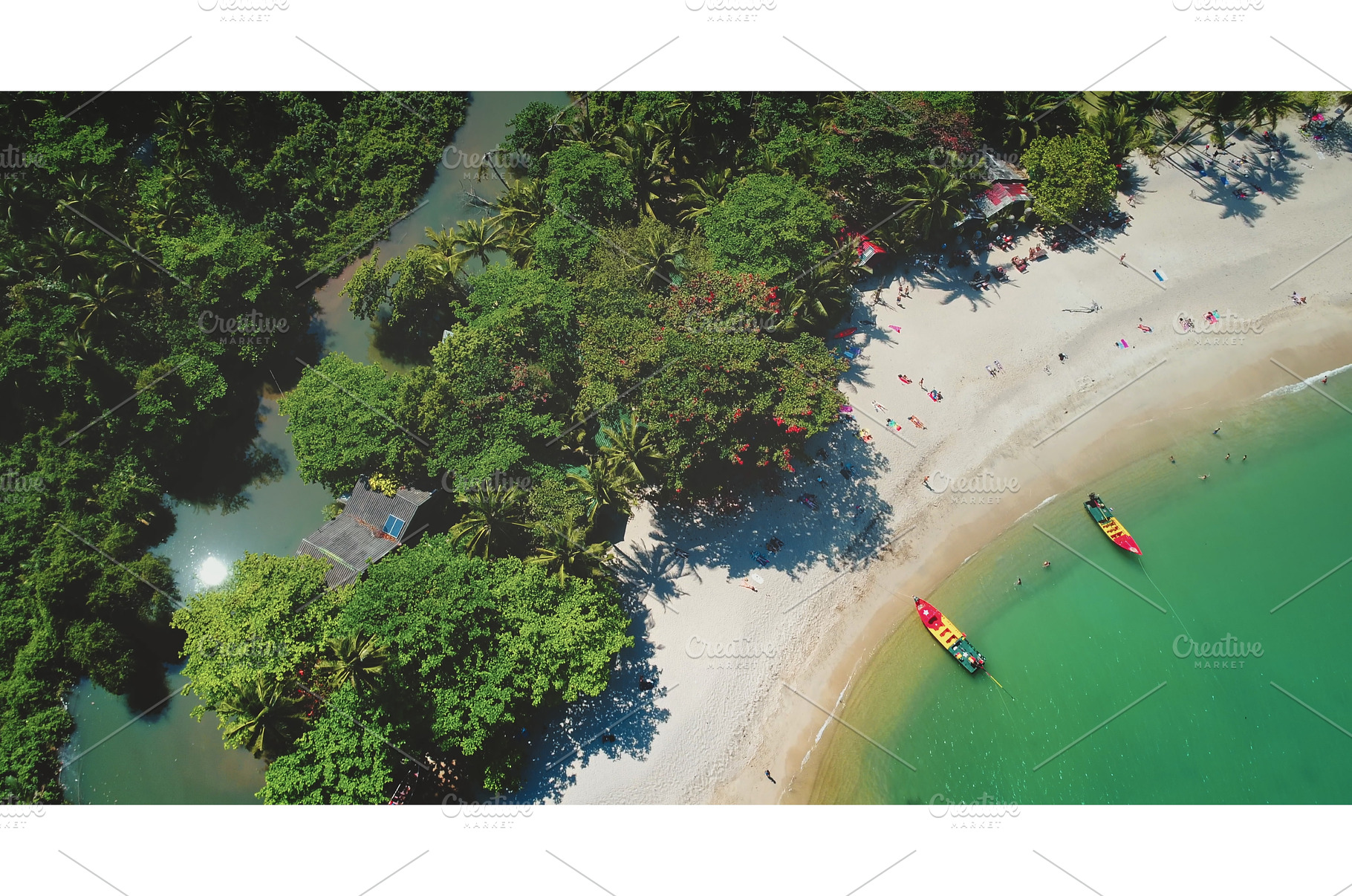 Tropical beach meeting lush jungle, a Holiday Photo by Goinyk