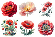 Corn Poppy Flower Bloom Clipart, an Illustration by cherrydesign (Thumbnail 1 of 3)