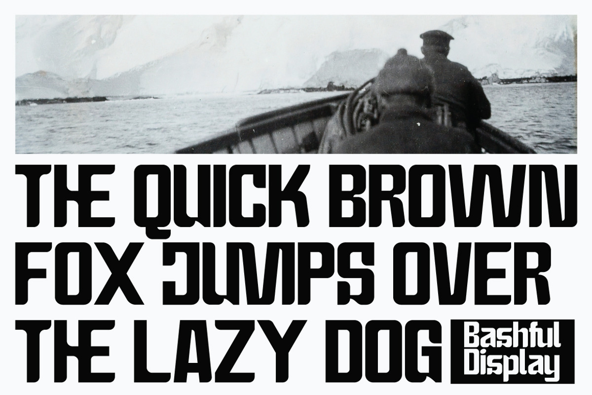 Bashful - Sans Condensed Font, a Sans Serif Font by tebaltipislab (Photo 2 of 12)