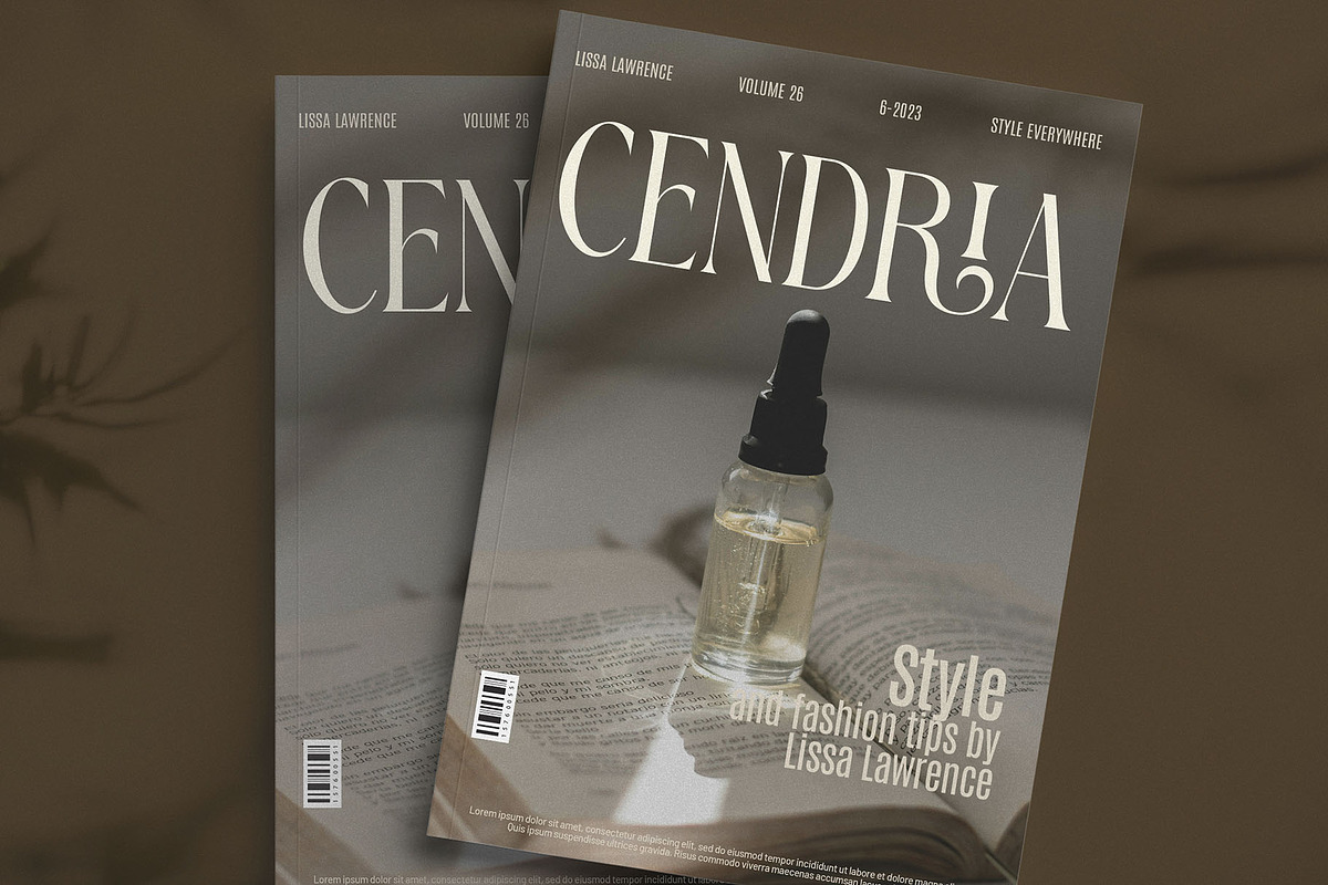 FRISTA || modern ligature, a Serif Font by ToniStudio (Photo 7 of 12)