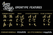 Jazz Script 12 fonts + extras -40%, a Script Font by Fenotype (Thumbnail 3 of 19)