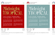 Magnolia Nocturne Editorial Serif, a Serif Font by timelesstype.co (Thumbnail 8 of 10)