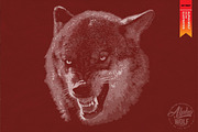 ALPHA WOLF - Vector illustration, an Animal Illustration by Artistic & Unique (Thumbnail 3 of 12)