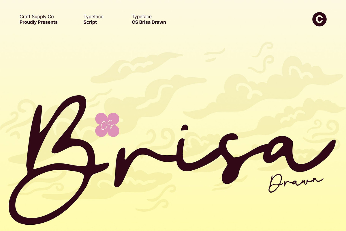CS Brisa Drawn, a Script Font by Craft Supply Co. (Photo 1 of 8)