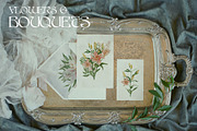 Watercolor Elf & Flowers Set, a Texture Illustration by Kaleriia (Thumbnail 3 of 10)