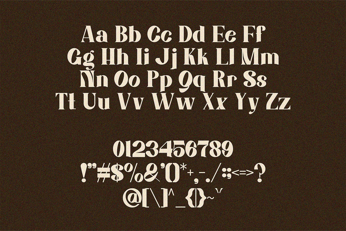ManciNanci - Serif Font, a Serif Font by Boril Std (Photo 11 of 12)
