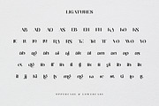 Distrela | Romantic Serif Font, a Serif Font by Ekahermawan (Thumbnail 13 of 15)