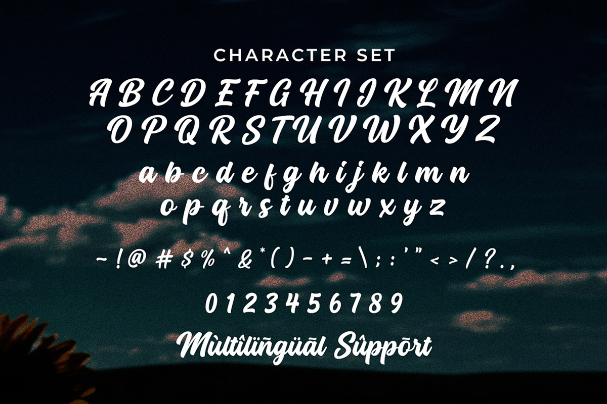 Backly Highs - Title Brand Font, a Script Font by Multype Studio (Photo 5 of 8)