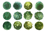 Watercolor trees set, top view, an Illustration by Lina_Lisichka (Thumbnail 3 of 3)