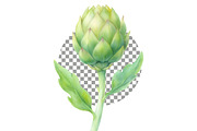 Hand-Painted Artichoke Clipart, a Decorative Illustration by crafty (Thumbnail 2 of 6)