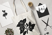 Vintage botanica, an Object Graphic by Mii Lab (Thumbnail 7 of 8)