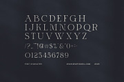 Astro Modern Serif Font, a Serif Font by Elegant Font (Thumbnail 6 of 7)