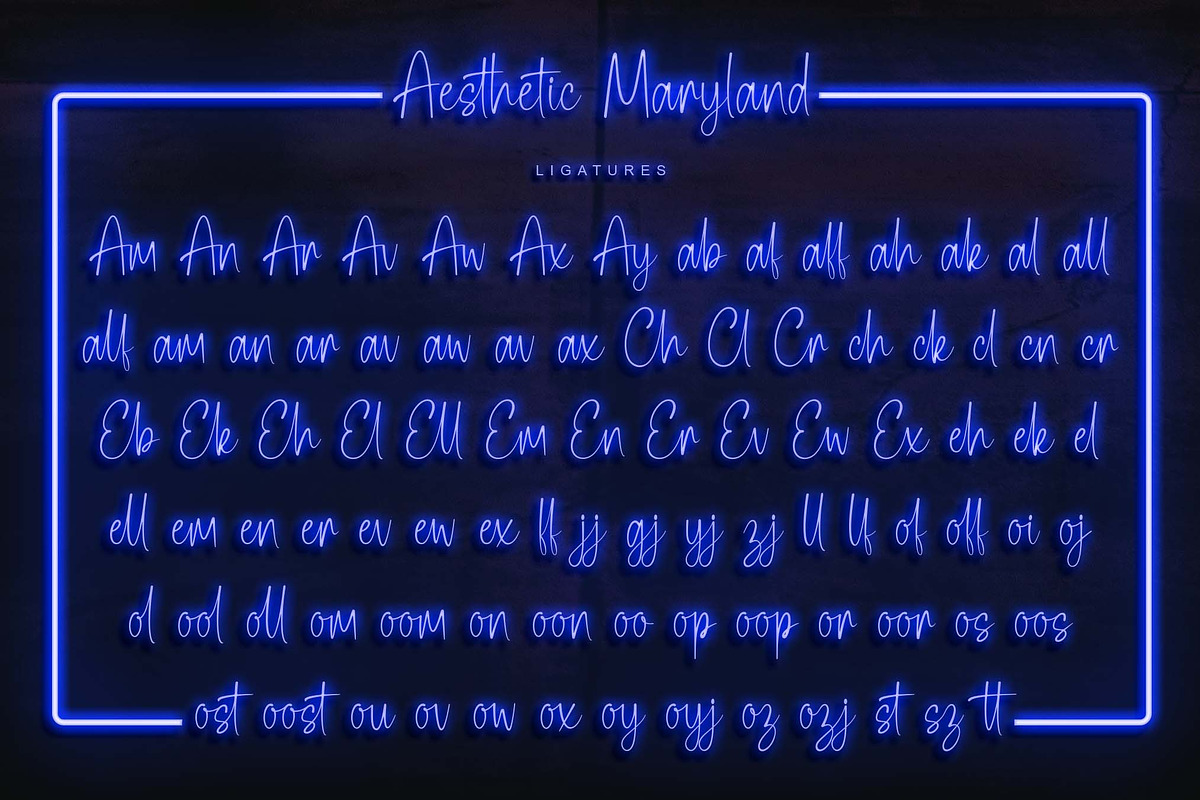 Aesthetic Maryland | Handwritten, a Handwritten Font by Aveni Letter Type (Photo 10 of 12)