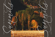 Anchesty Montaine Stylish Font, a Script Font by stylishtype.co (Thumbnail 7 of 20)