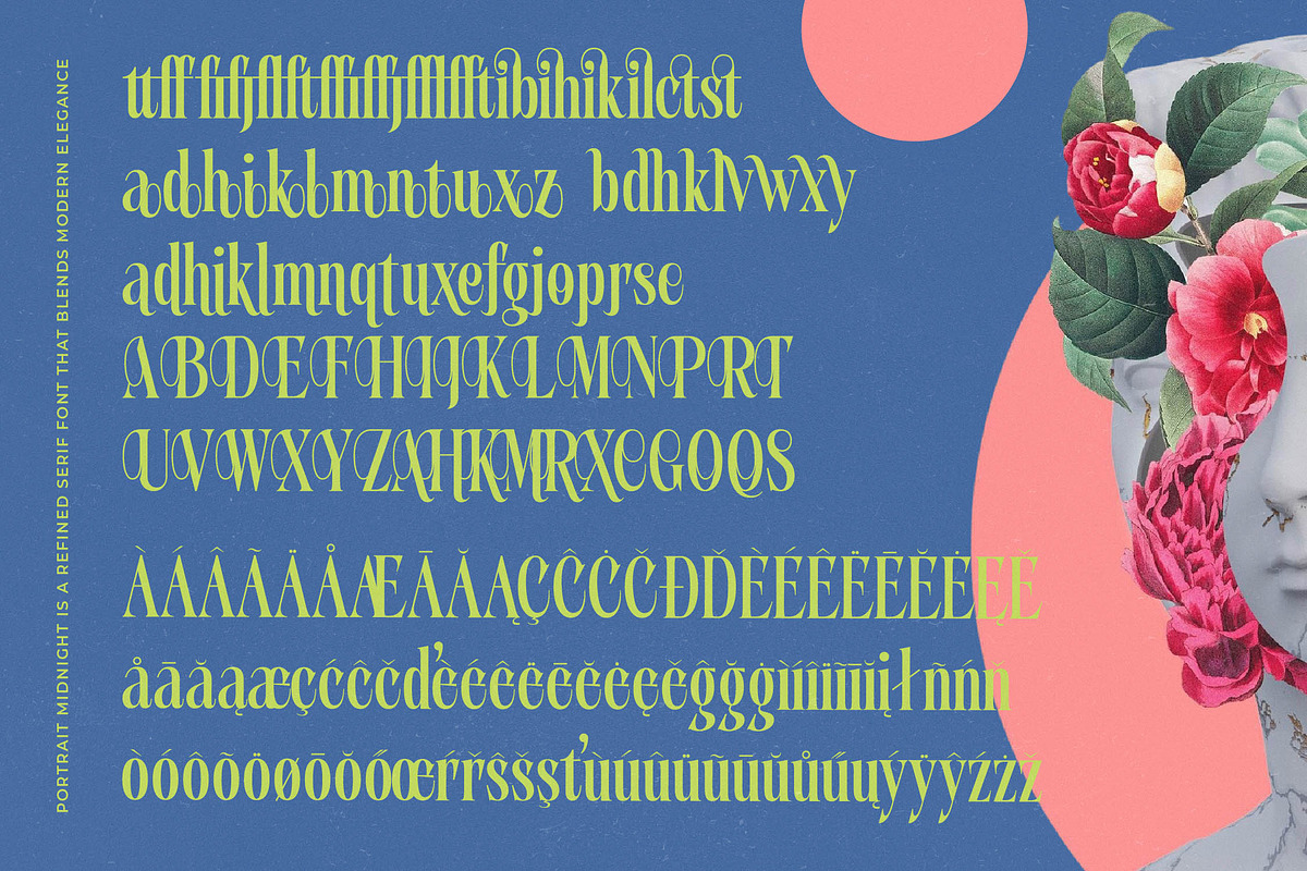 Portrait Midnight Modern Serif, a Sans Serif Font by timelesstype.co (Photo 15 of 15)