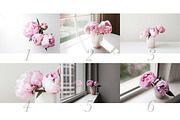 Pink Peony Bundle + 3 Bonus Images, a Nature Photo by Light & Grace (Thumbnail 2 of 8)