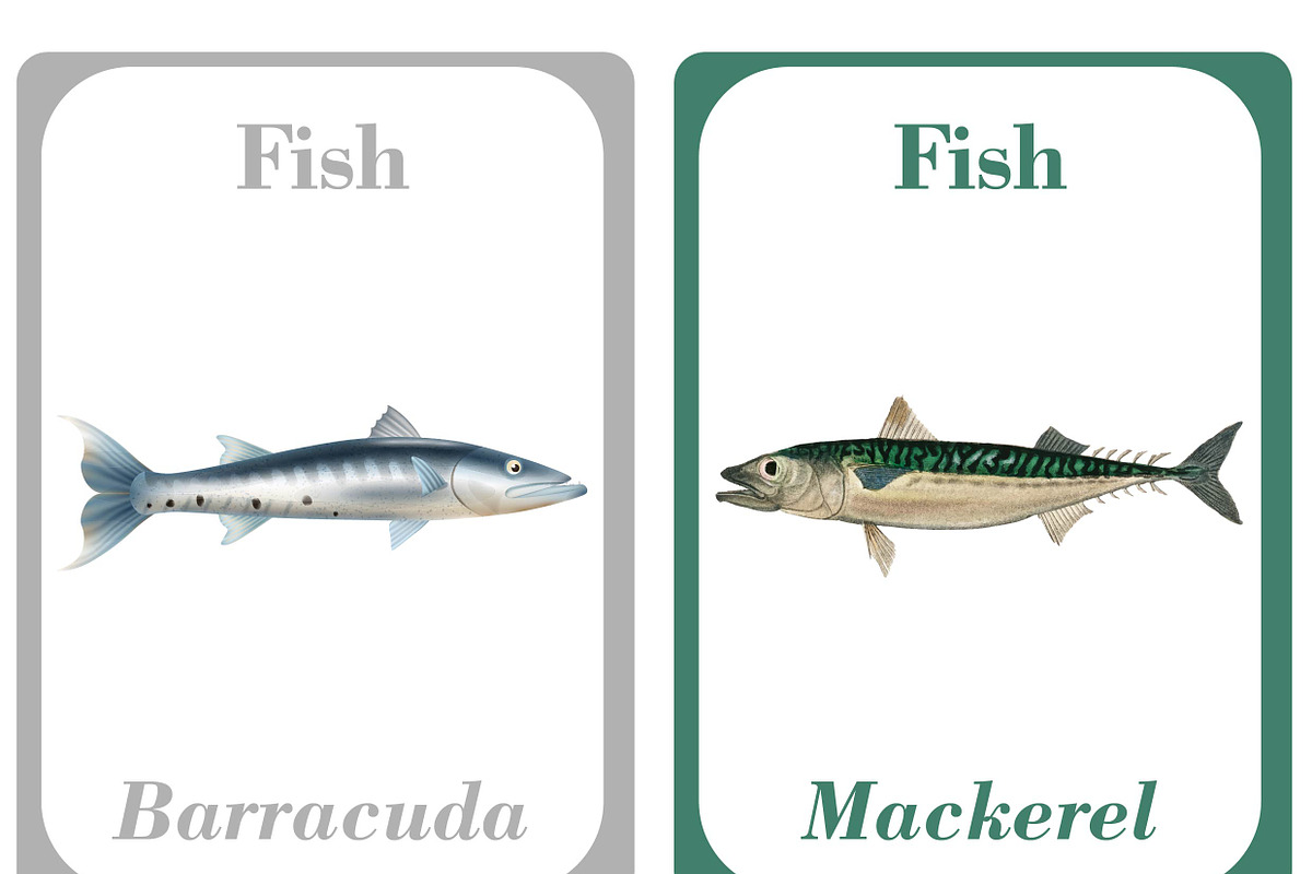 Printable Fish Learning Cards, a Card Template by DigitalsDesigns (Photo 5 of 5)
