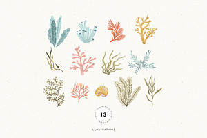 Watercolor Sea Collection