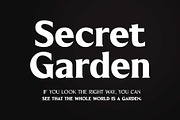 Blackney Font Family, a Serif Font by Arterfak Project (Thumbnail 2 of 14)