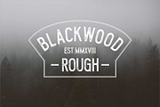 Blacklwood, a Sans Serif Font by Secondivison Supply (Thumbnail 2 of 10)