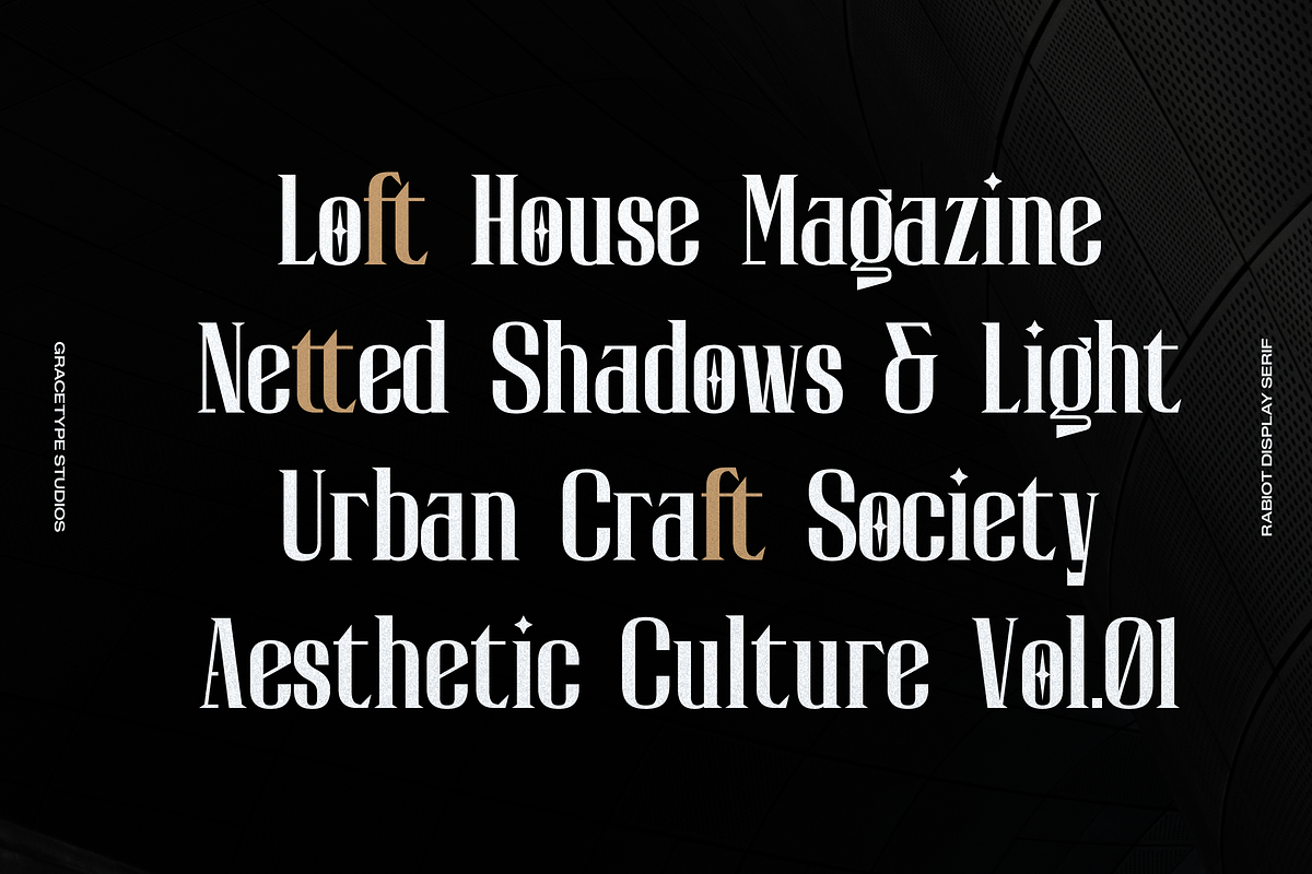 Rabiot | Modern Display Serif, a Sans Serif Font by gracetype_studio (Photo 6 of 12)